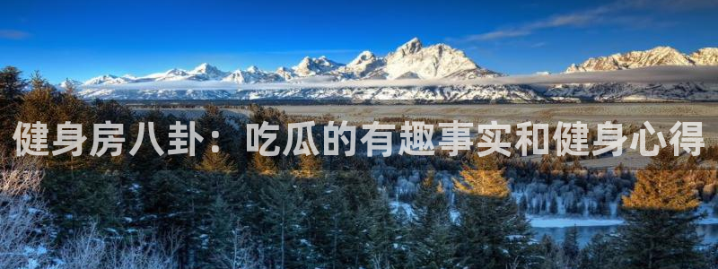 知名名人丑闻新瓜曝光